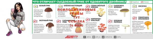 стафф Волосово