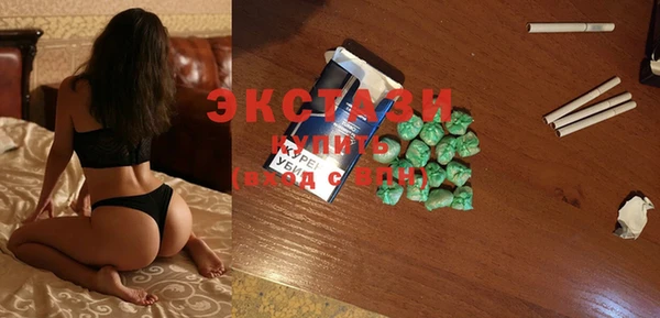 стаф Горняк