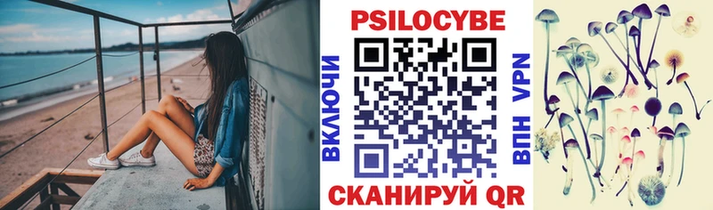 Псилоцибиновые грибы мухоморы  Дербент 